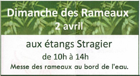 rameaux